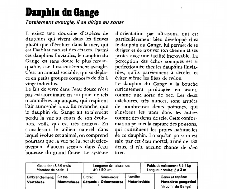 Prévisualisation du document Dauphin du Gange:Totalement aveugle, il se dirige au sonar.