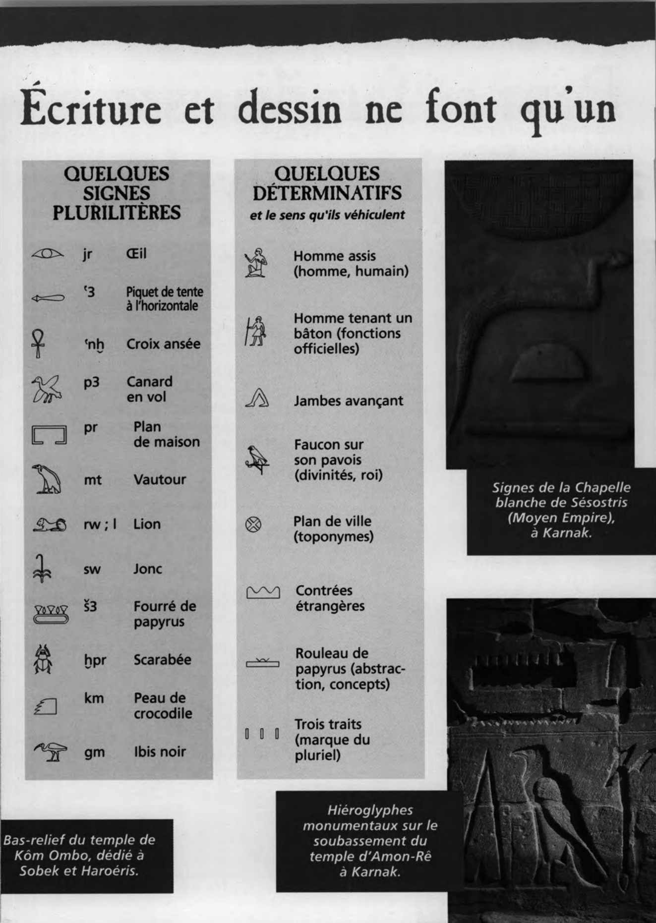 Prévisualisation du document Déchiffrer les hiéroglyphes
