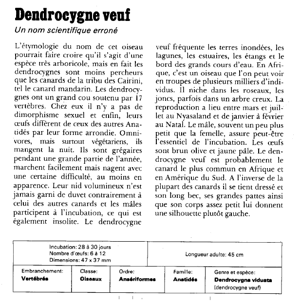 Prévisualisation du document Dendrocygne veuf:Un nom scientifique erroné.