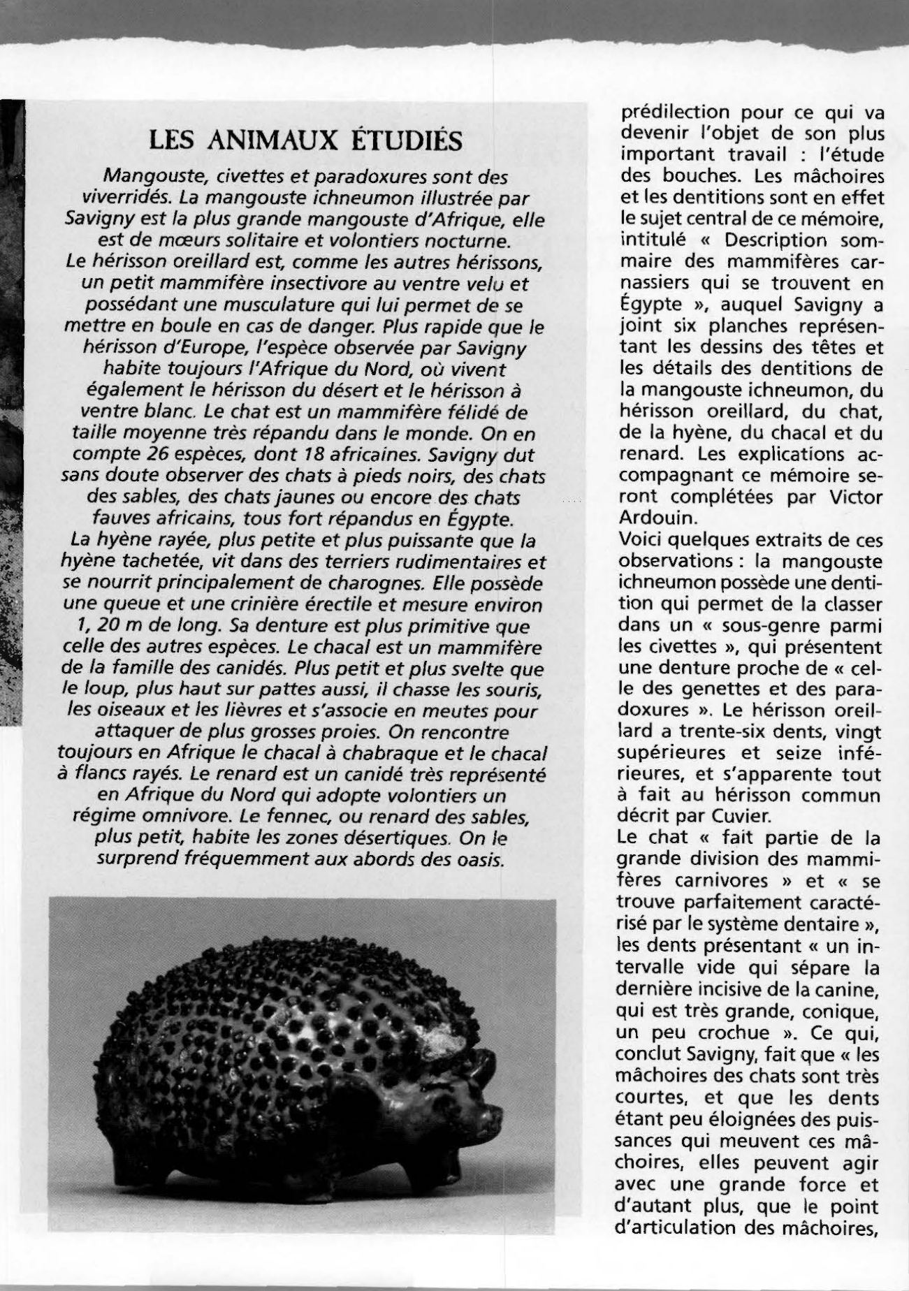 Prévisualisation du document « Description de l'Égypte » Les mammifères carnassiers