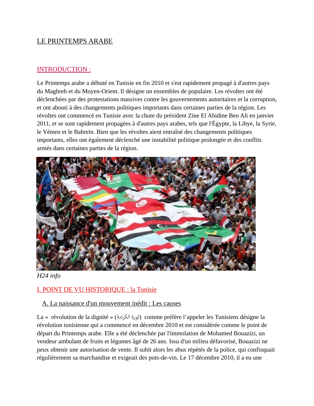 Prévisualisation du document Devoir de recherche sur le printemps arabe hggsp première