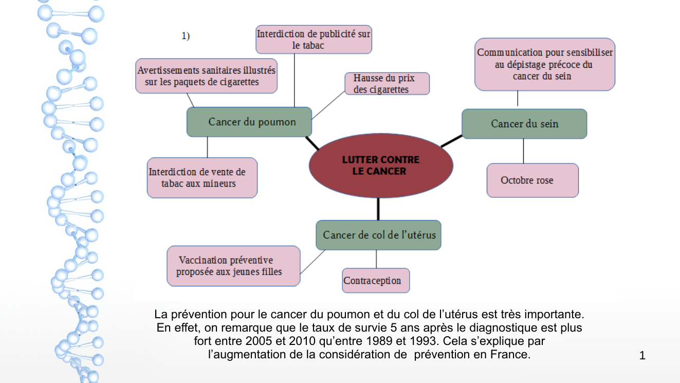Prévisualisation du document diapositive cancer