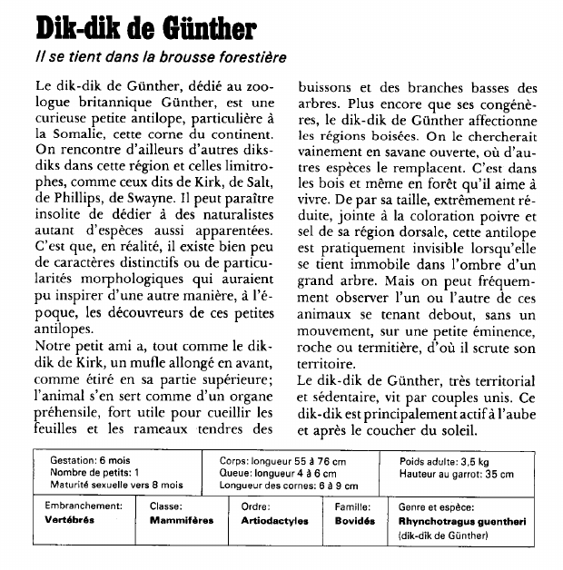 Prévisualisation du document Dik-dik de Giinther:Il se tient dans la brousse forestière.