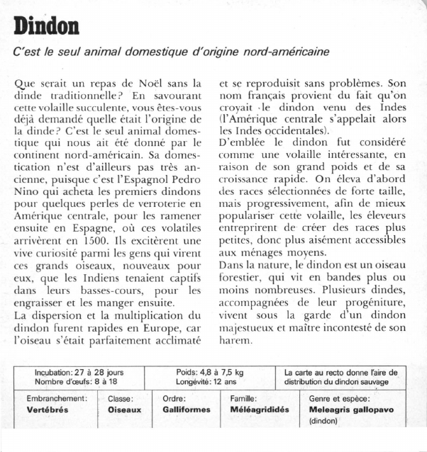 Prévisualisation du document Dindon:C'est le seul animal domestique d'origine nord-américaine.