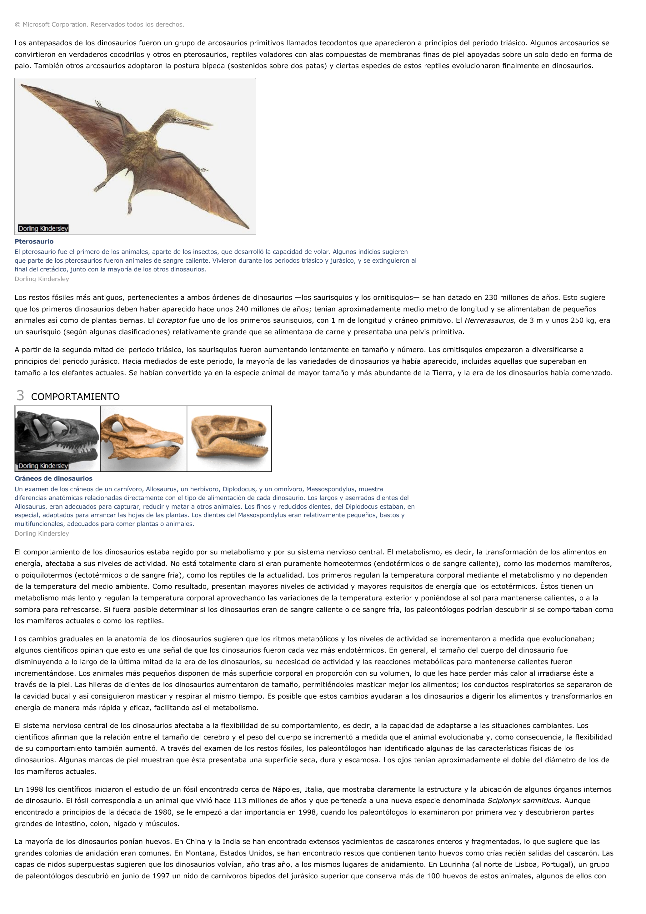 Prévisualisation du document Dinosaurio - ciencias de la naturaleza.
