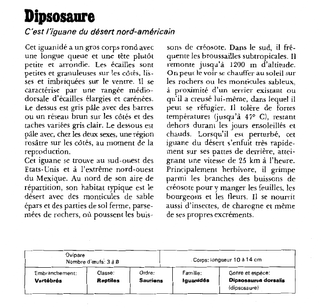Prévisualisation du document Dipsosaure:C'est l'iguane du désert nord-américain.