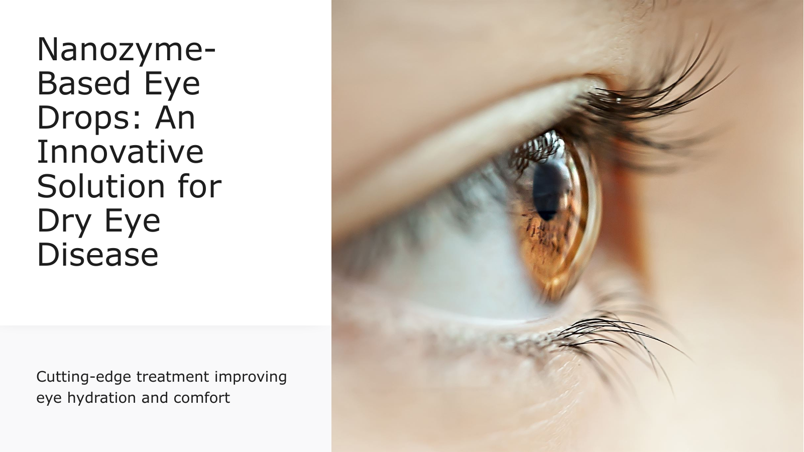 Prévisualisation du document dnl