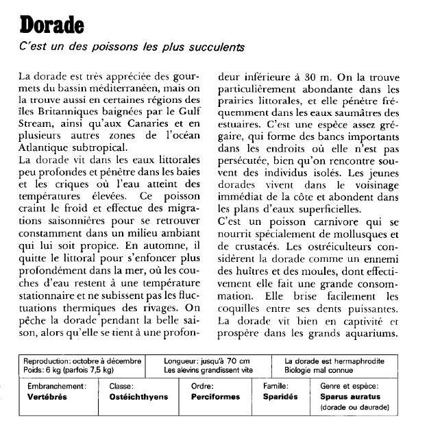 Prévisualisation du document Dorade:C'est un des poissons les plus succulents.