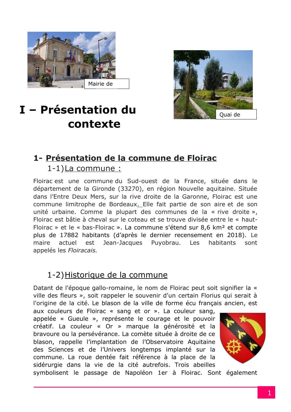 Prévisualisation du document Dossier BPJEPS: la commune de Foirac