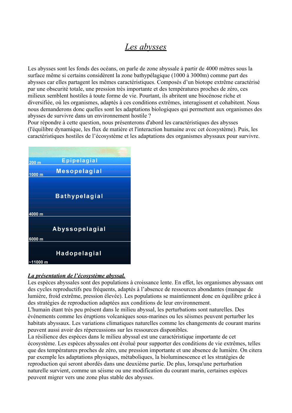 Prévisualisation du document Dossier documentaire sur les abysses
