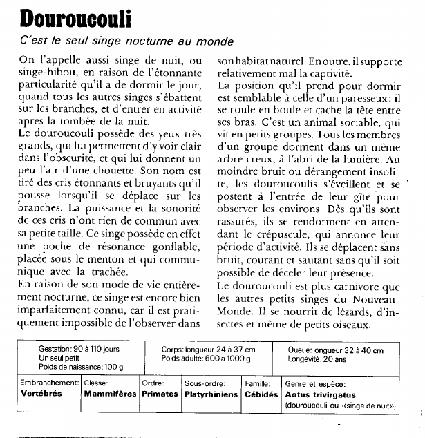 Prévisualisation du document Douroucouli:C'est le seul singe nocturne au monde.