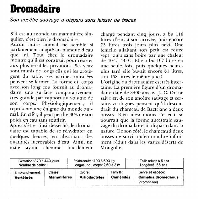 Prévisualisation du document Dromadaire:Son ancêtre sauvage a disparu sans laisser de traces.