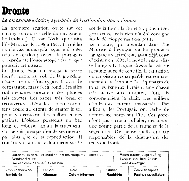 Prévisualisation du document Dronte:Le classique «dodo», symbole de l'extinction des animaux.