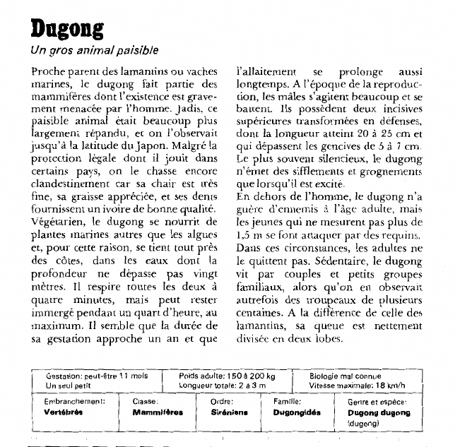 Prévisualisation du document Dugong:Un gros animal paisible.