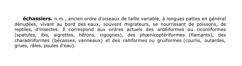 Prévisualisation du document échassiers.