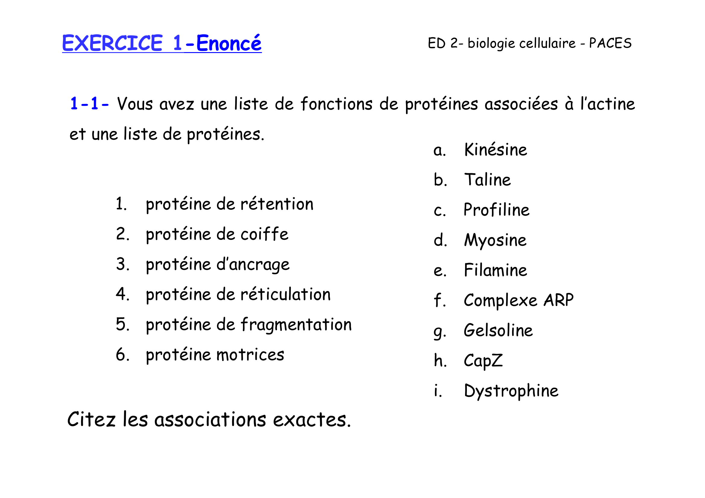 Prévisualisation du document ED 2 - biologie cellulaire - PACES

EXERCICE 1
Le cytosquelette

EXERCICE 1-Enoncé

ED 2- biologie cellulaire - PACES

1-1- Vous avez une liste de fonctions de protéines associées à l'actine
et une liste de protéines.