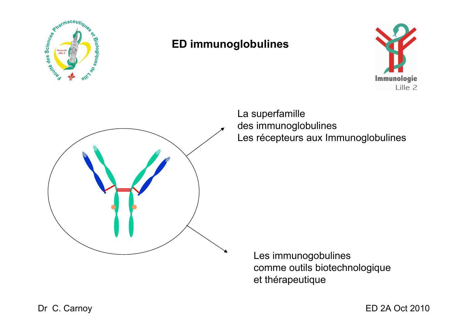 Prévisualisation du document ED immunoglobulinesLa superfamilledes immunoglobulinesLes récepteurs aux ImmunoglobulinesLes immunogobulinescomme outils biotechnologiqueet thérapeutiqueDr C.