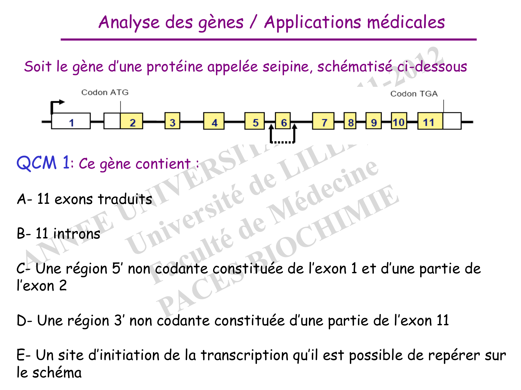 Prévisualisation du document ED6 : BIOLOGIE MOLÉCULAIRE

Analyse des gènes / Applications médicales
Soit le