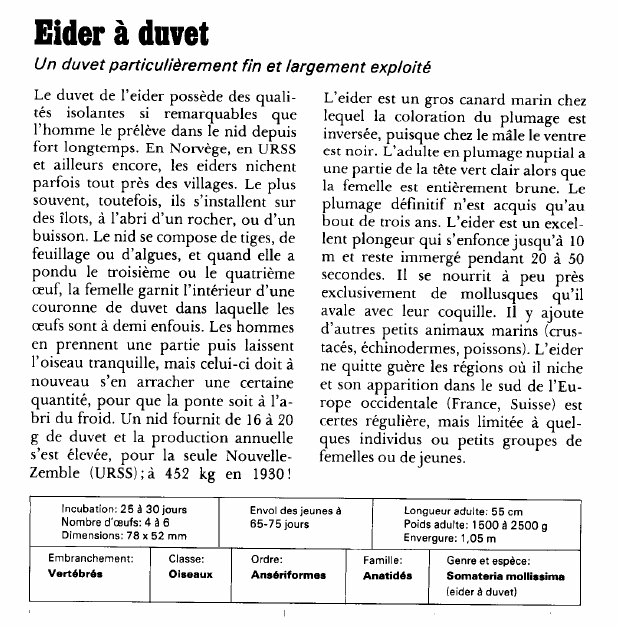 Prévisualisation du document Eider à duvet:Un duvet particulièrement fin et largement exploité.