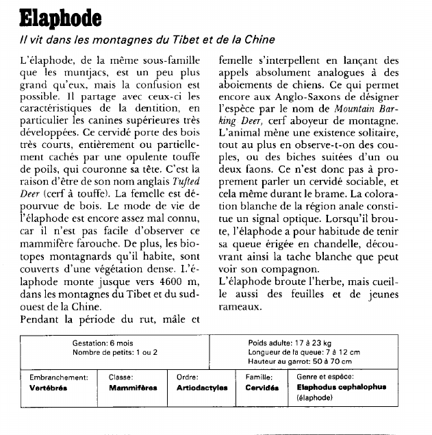 Prévisualisation du document Elaphode:Il vit dans les montagnes du Tibet et de la Chine.