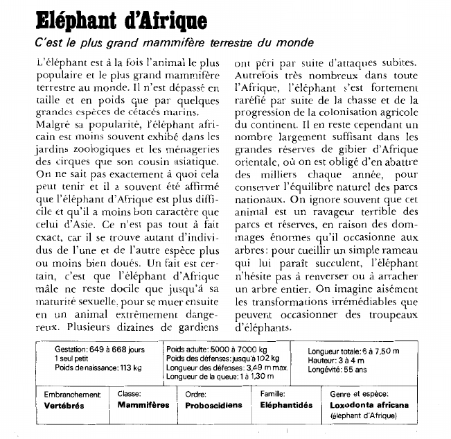 Prévisualisation du document Eléphant d'Afrique:C'est le plus grand mammifère terrestre du monde.