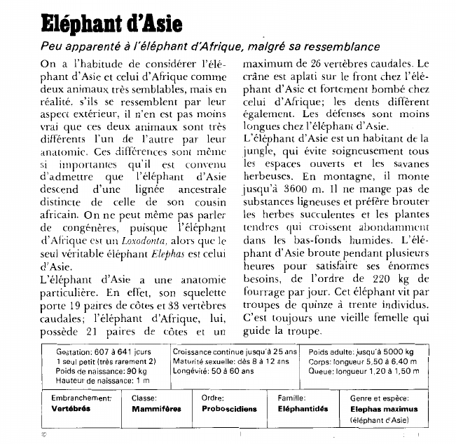 Prévisualisation du document Eléphant d'Asie:Peu apparenté à l'éléphant d'Afrique, malgré sa ressemblance.