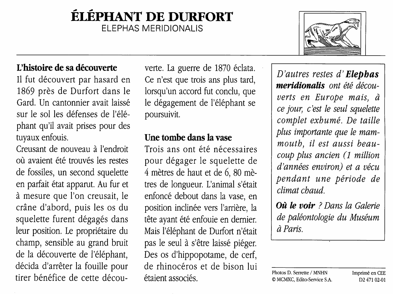 Prévisualisation du document Éléphant de DURFORT