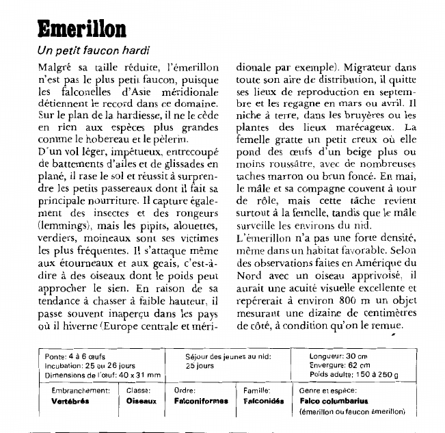 Prévisualisation du document Emerillon:Un petit faucon hardi.