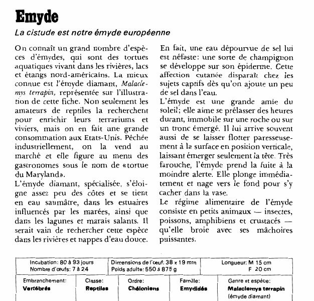 Prévisualisation du document Emyde:La cistude est notre émyde européenne.