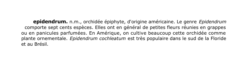 Prévisualisation du document epidendrum.