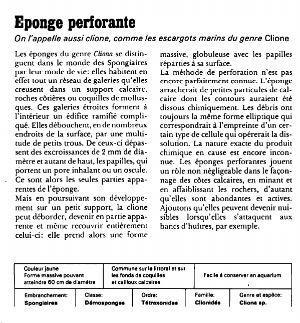 Prévisualisation du document Eponge perforante:On l'appelle aussi clione, comme les escargots marins du genre Clione.