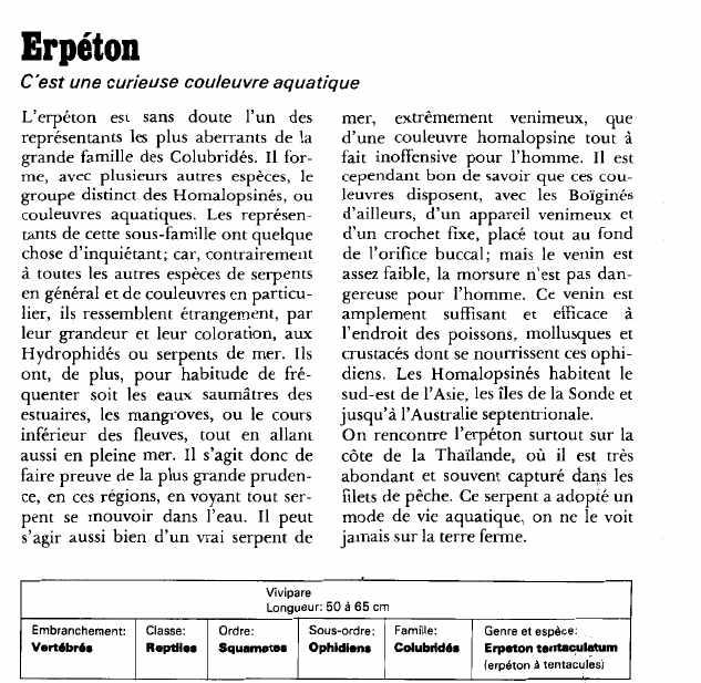 Prévisualisation du document Erpéton.