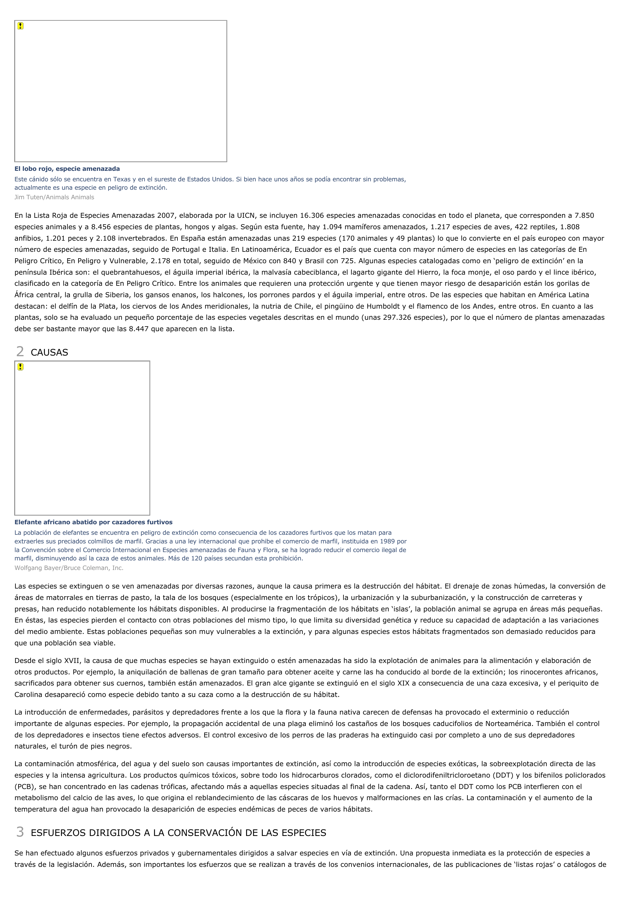 Prévisualisation du document Especies amenazadas - ciencias de la naturaleza.