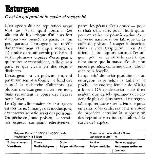 Prévisualisation du document Esturgeon:C'est lui qui produit le caviar si recherché.