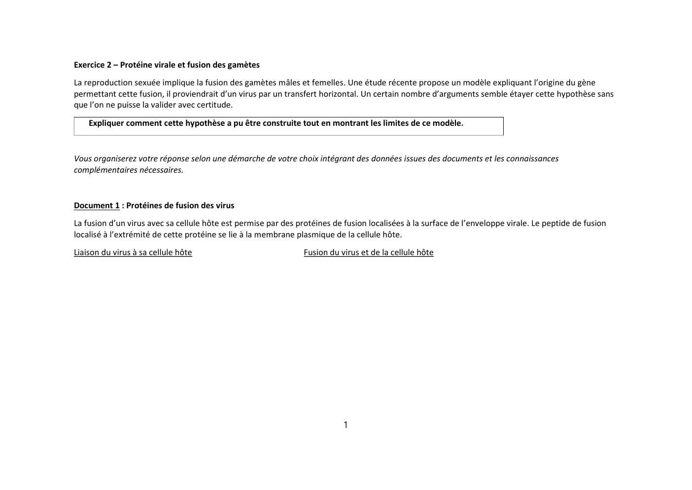 Prévisualisation du document ETUDE DE DOCUMENT