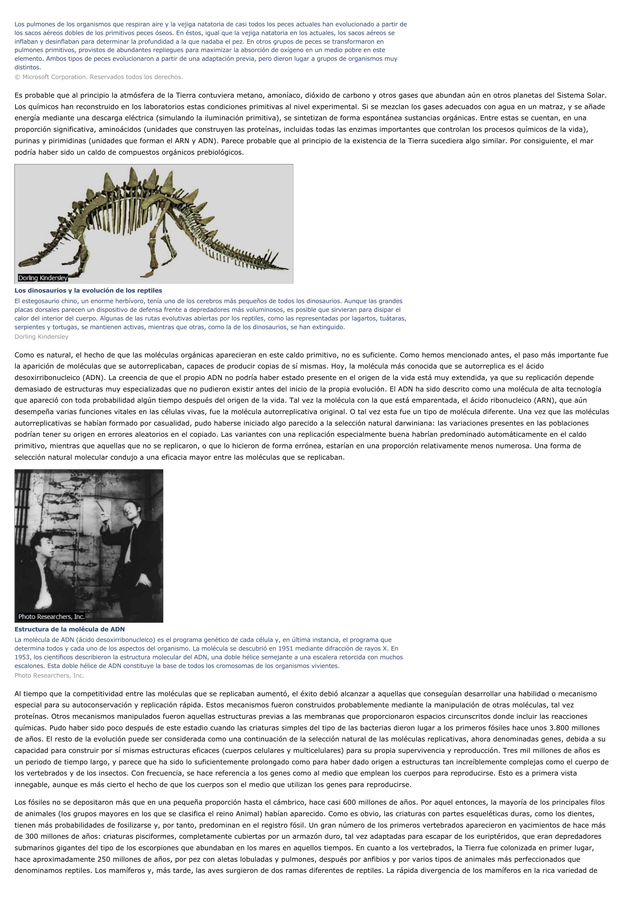 Prévisualisation du document Evolución - ciencias de la naturaleza.