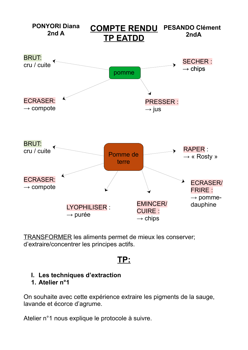 Prévisualisation du document Exemple Compte-rendu EATDD les techniques d’extraction