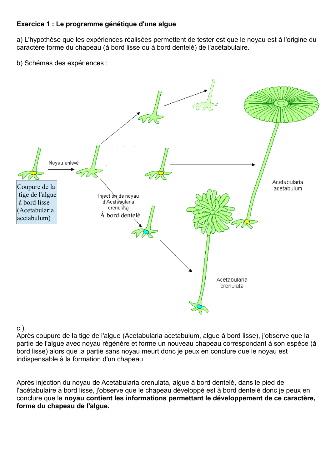 Prévisualisation du document Exercice 1 : Le programme génétique d'une algue