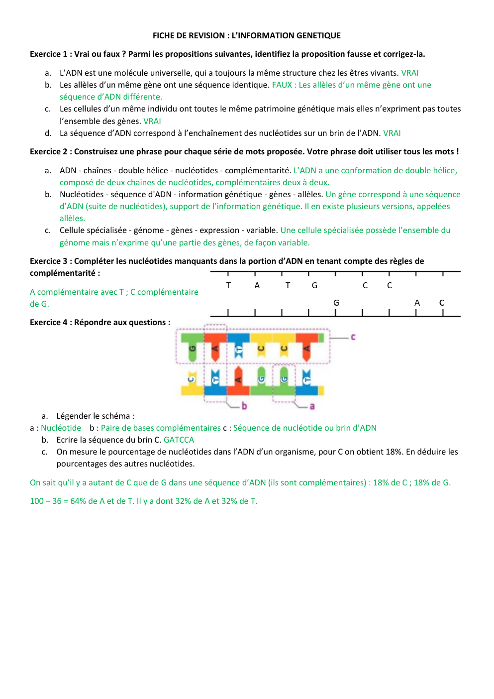 Prévisualisation du document Exercice entrainement ADN correction