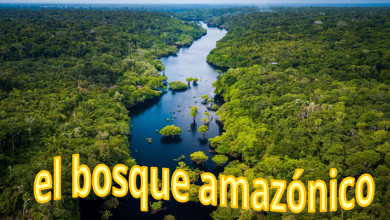 Prévisualisation du document exposé espagnol sur le forêt amazonienne