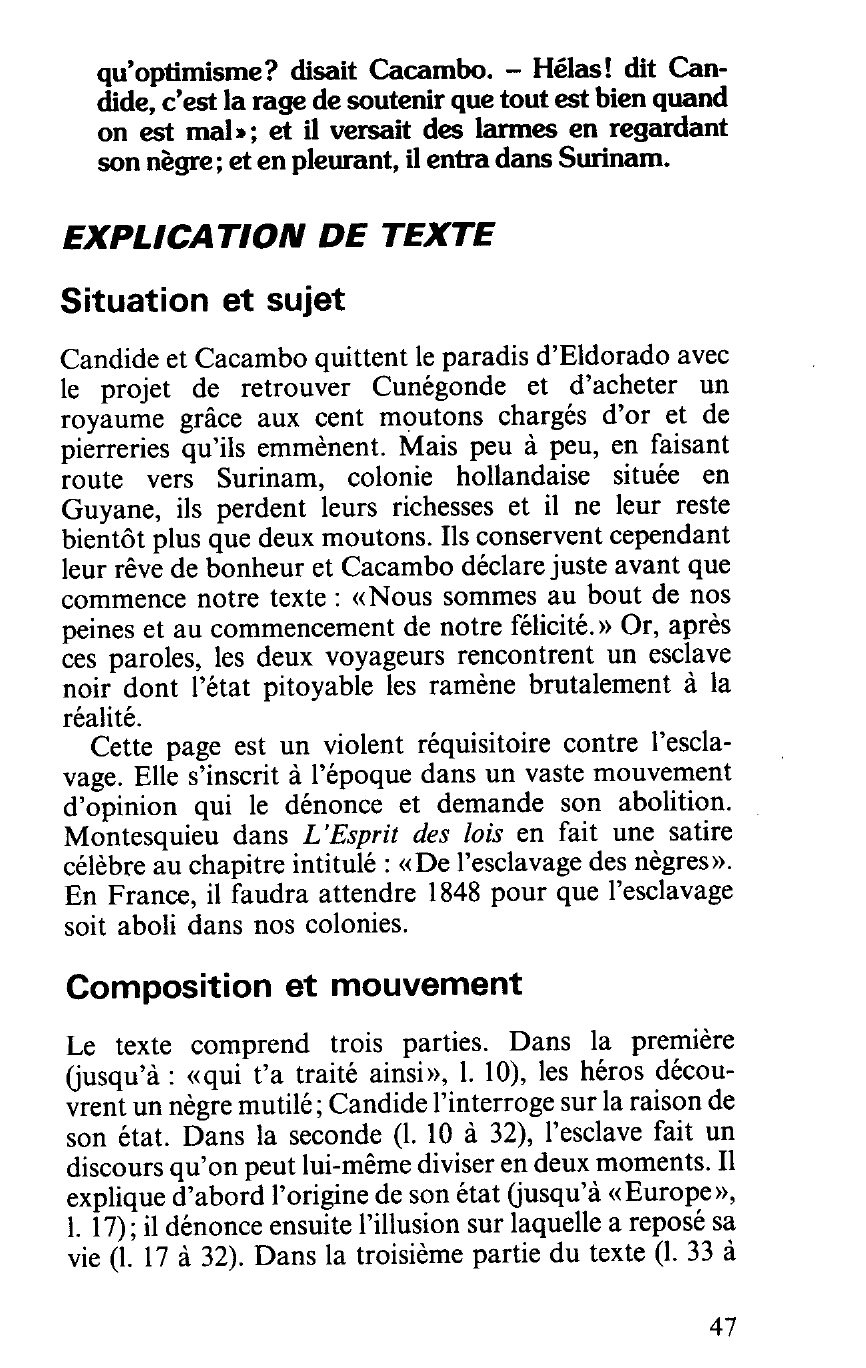 Prévisualisation du document Extrait du chapitre XIX  [Le nègre de Surinam]