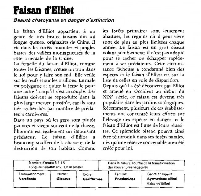 Prévisualisation du document Faisan d'Elliot:Beauté chatoyante en danger d'extinction.
