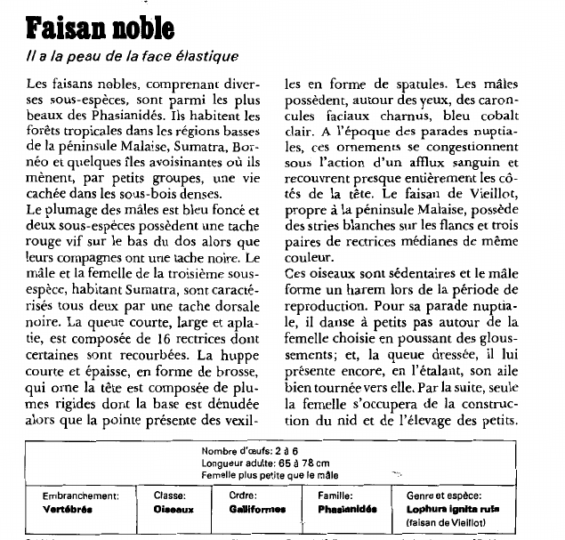 Prévisualisation du document Faisan noble:Il a la peau de la face élastique.