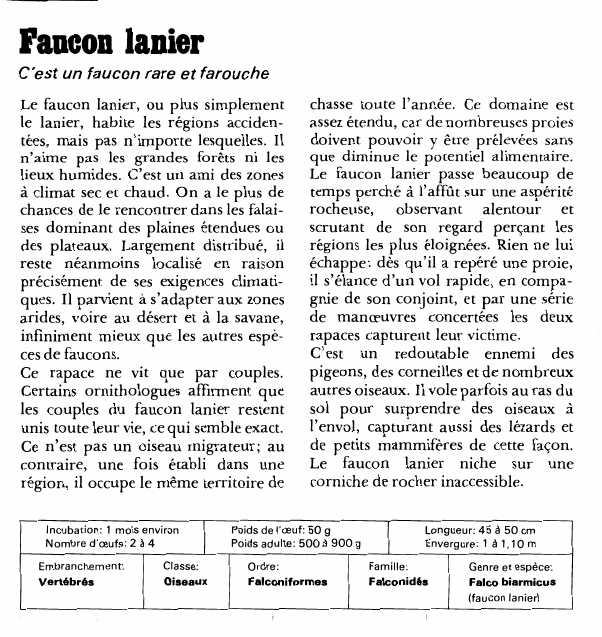 Prévisualisation du document Faucon lanierC'est un faucon rare et faroucheLe faucon lanier, ou plus simplement le lanier, habite les régions accidentées, mais pas n'importe lesquelles.
