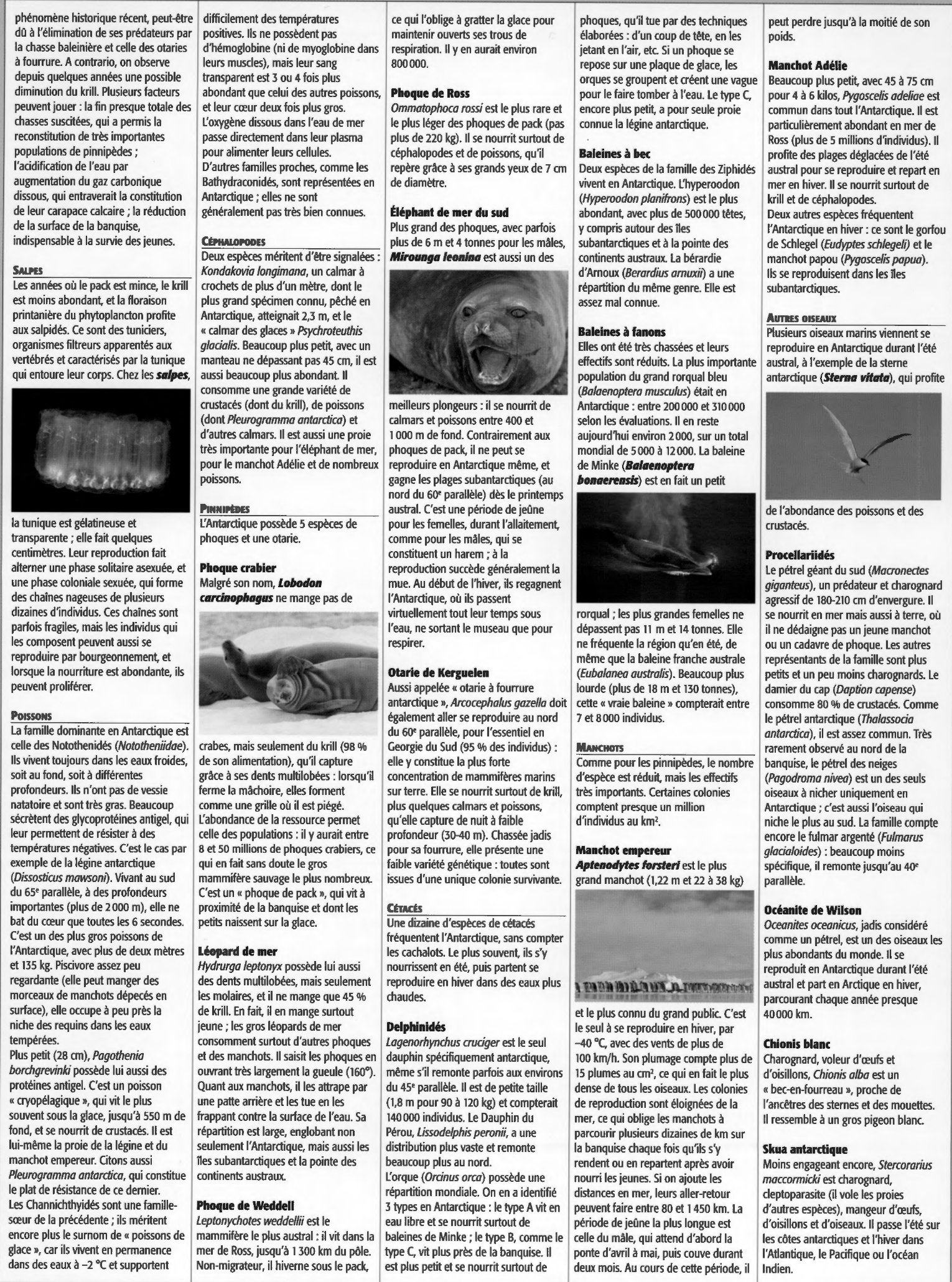 Prévisualisation du document Faune et flore de l'Antartique