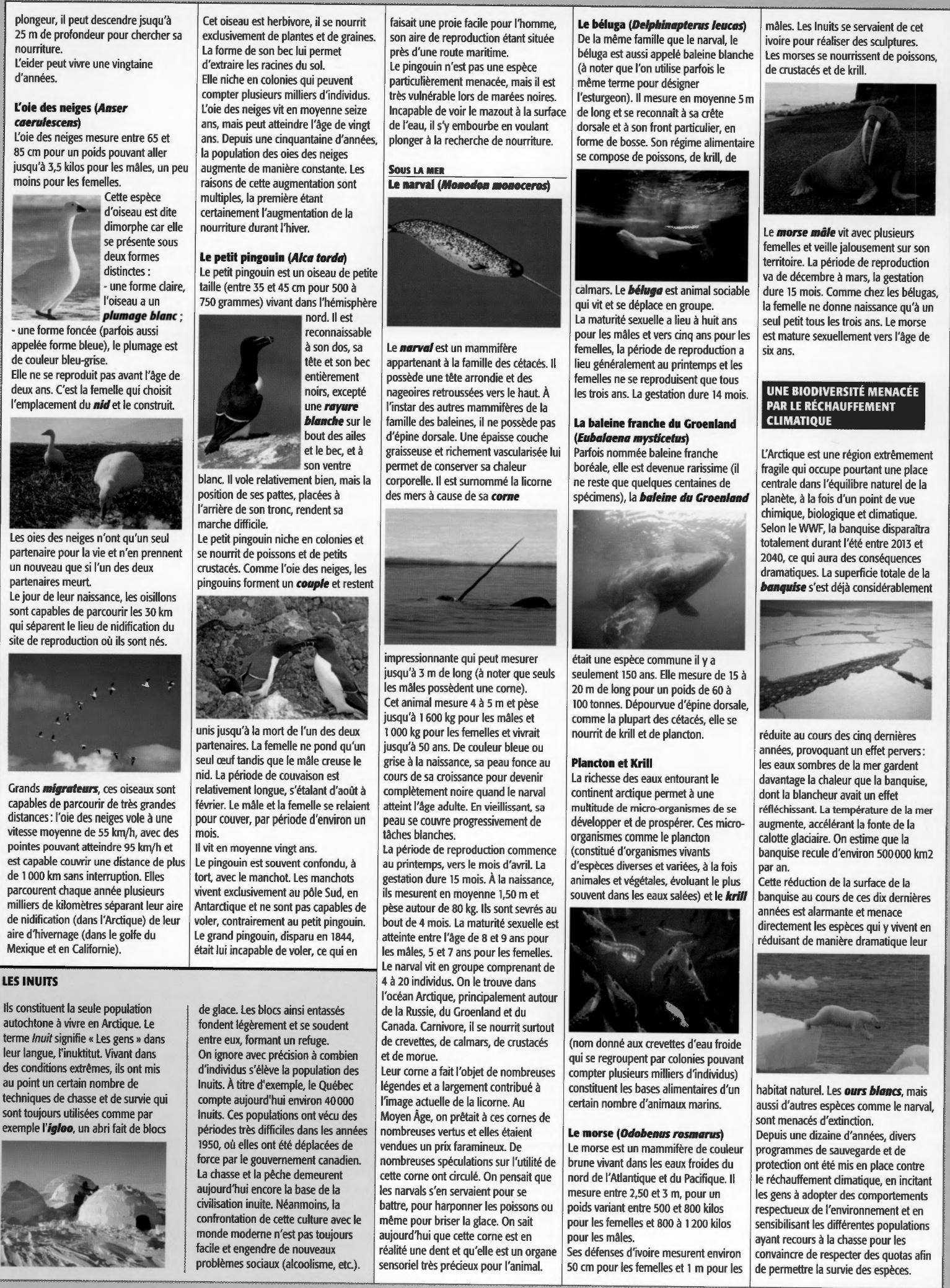 Prévisualisation du document Faune et flore de l’Arctique