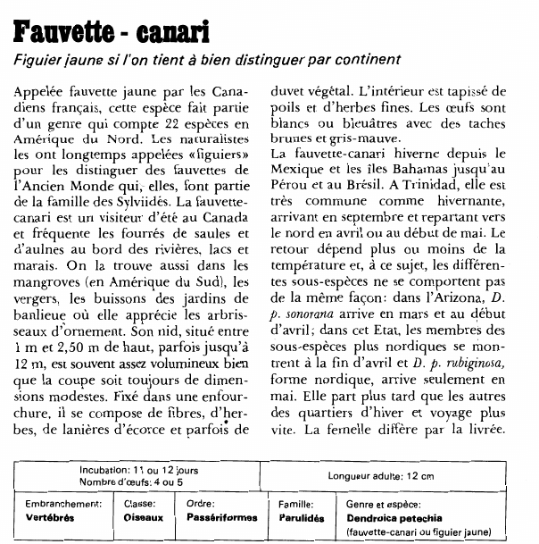 Prévisualisation du document Fauvette - canari:Figuier jaune si l'on tient à bien distinguer par continent.