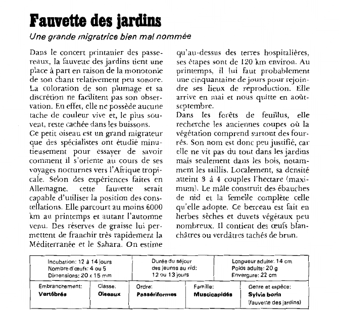 Prévisualisation du document Fauvette des jardinsUne grande migratrice bien mal nommée.