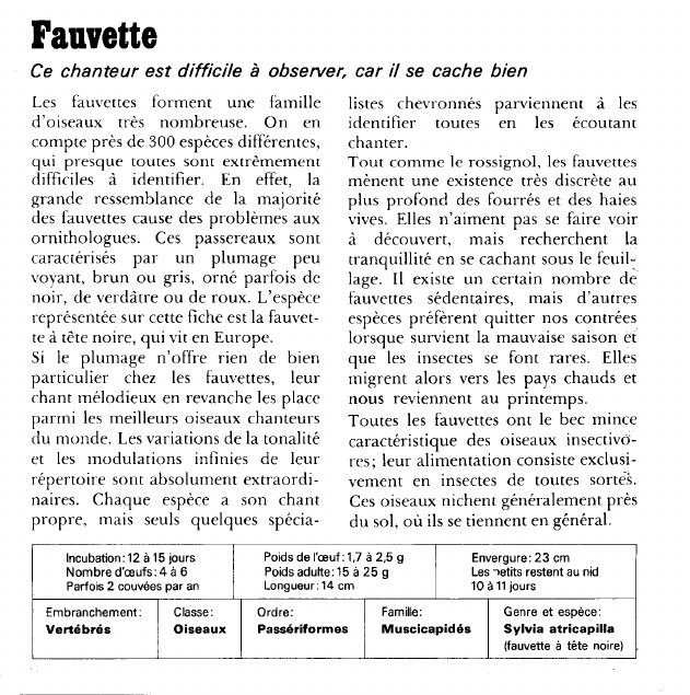 Prévisualisation du document Fauvette:Ce chanteur est difficile à observer, car il se cache bien.