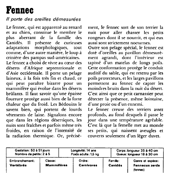 Prévisualisation du document Fennec:Il porte des oreilles démesurées.